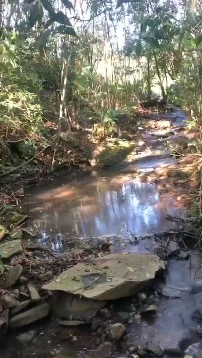 Sítio à venda no bairro Fazenda Fialho, Taquara