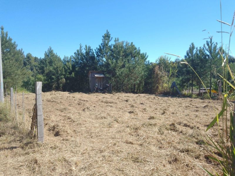 Terreno à venda no bairro Fazenda Fialho, Taquara