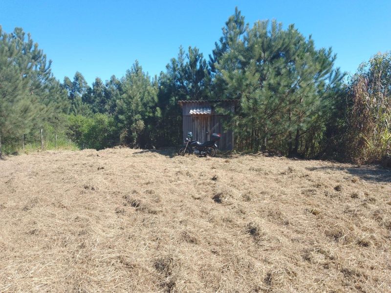 Terreno à venda no bairro Fazenda Fialho, Taquara