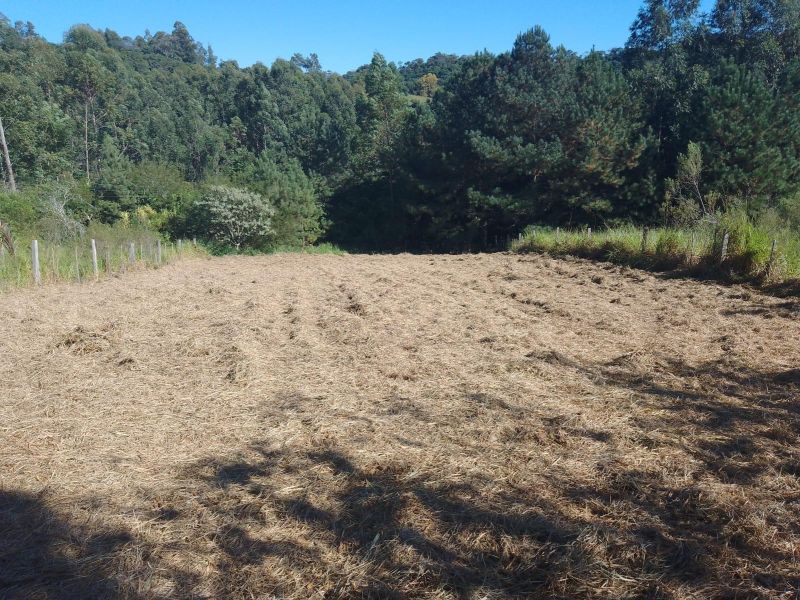 Terreno à venda no bairro Fazenda Fialho, Taquara