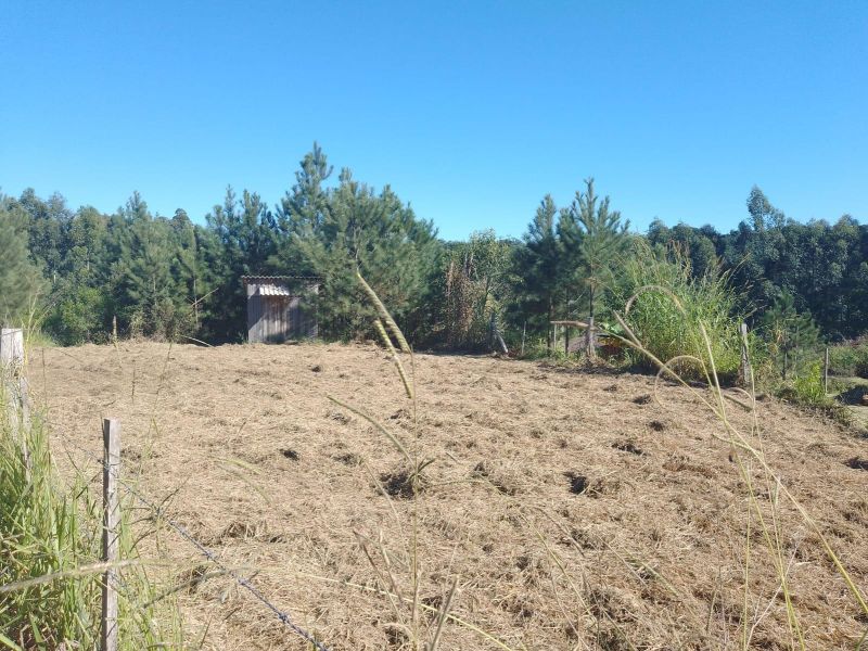 Terreno à venda no bairro Fazenda Fialho, Taquara