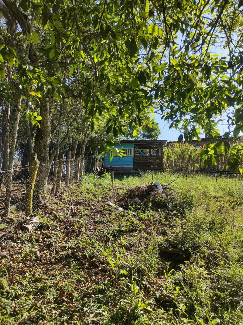 Sítio com 3 quartos e 1 banheiro à venda no bairro Fazenda Fialho, Taquara