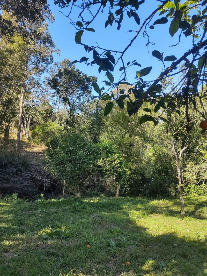 Sítio com 3 quartos e 1 banheiro à venda no bairro Fazenda Fialho, Taquara