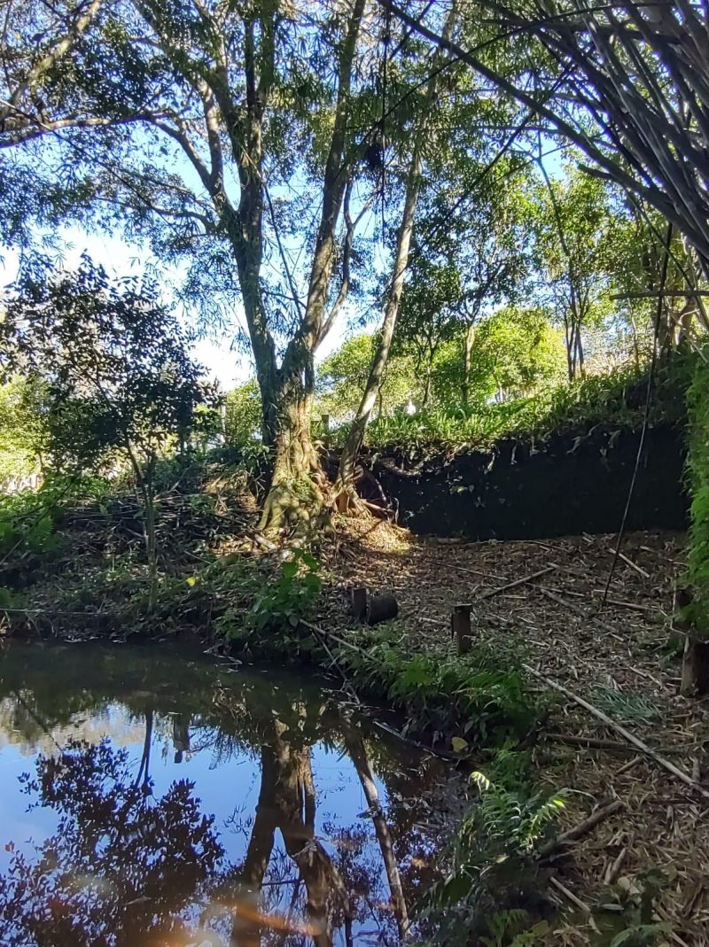 Sítio com 3 quartos e 1 banheiro à venda no bairro Fazenda Fialho, Taquara