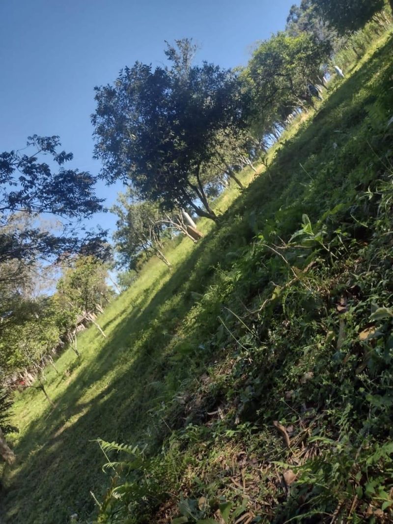 Sítio com 3 quartos e 1 banheiro à venda no bairro Fazenda Fialho, Taquara