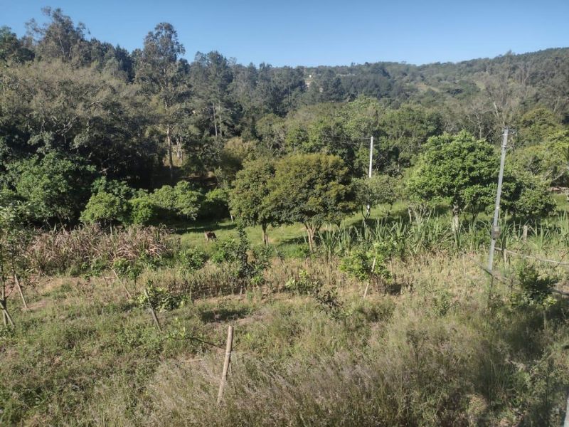 Sítio com 3 quartos e 1 banheiro à venda no bairro Fazenda Fialho, Taquara