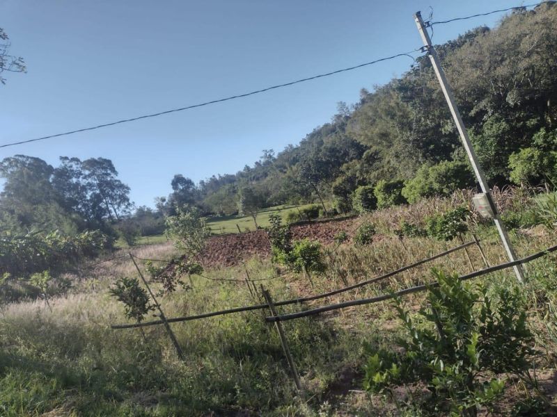 Sítio com 3 quartos e 1 banheiro à venda no bairro Fazenda Fialho, Taquara