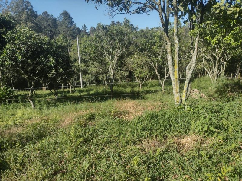 Sítio com 3 quartos e 1 banheiro à venda no bairro Fazenda Fialho, Taquara