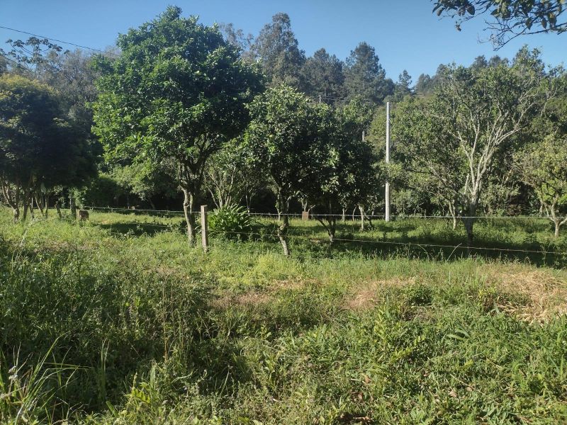 Sítio com 3 quartos e 1 banheiro à venda no bairro Fazenda Fialho, Taquara