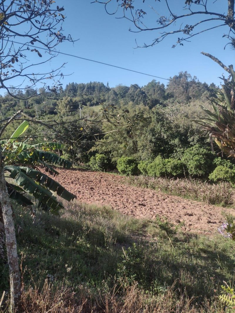 Sítio com 3 quartos e 1 banheiro à venda no bairro Fazenda Fialho, Taquara