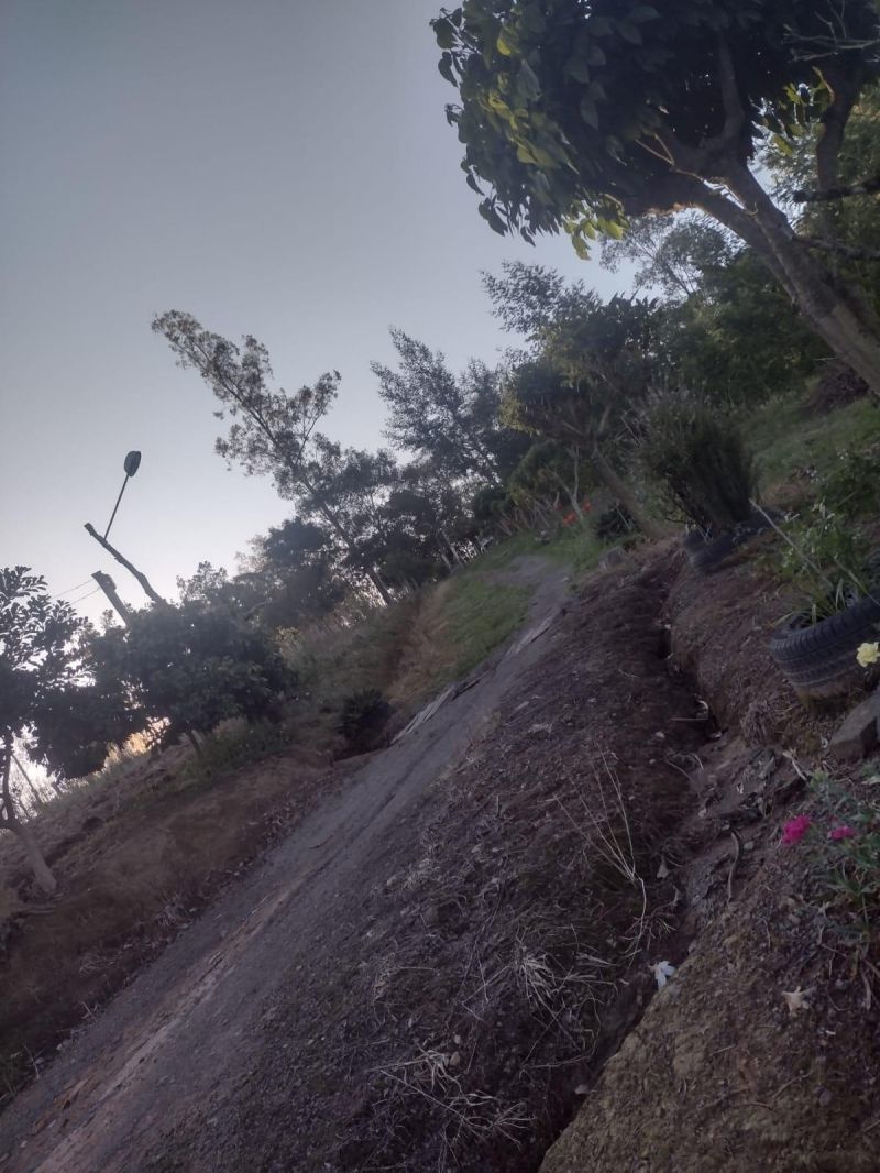 Sítio com 3 quartos e 1 banheiro à venda no bairro Fazenda Fialho, Taquara