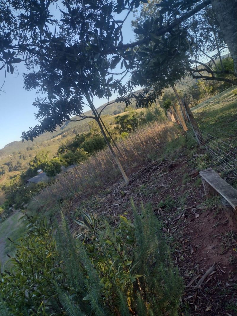 Sítio com 3 quartos e 1 banheiro à venda no bairro Fazenda Fialho, Taquara