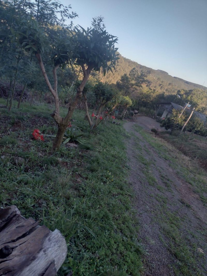 Sítio com 3 quartos e 1 banheiro à venda no bairro Fazenda Fialho, Taquara