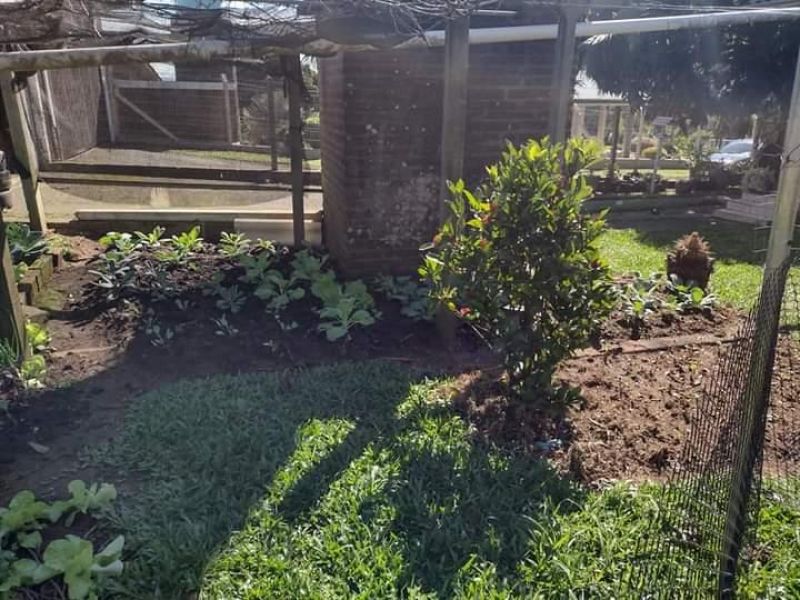 Sítio com 2 quartos, 2 banheiros e 120m² à venda no bairro Fazenda Fialho, Taquara