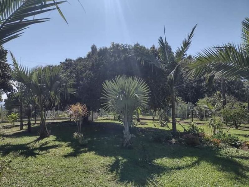 Sítio com 2 quartos, 2 banheiros e 120m² à venda no bairro Fazenda Fialho, Taquara