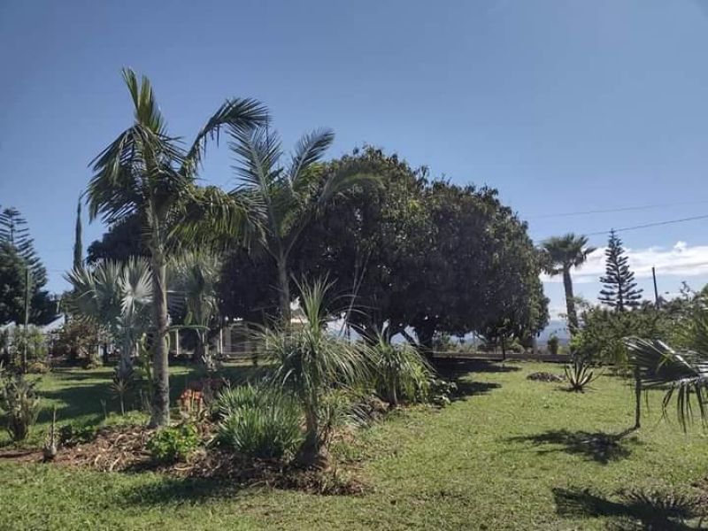 Sítio com 2 quartos, 2 banheiros e 120m² à venda no bairro Fazenda Fialho, Taquara