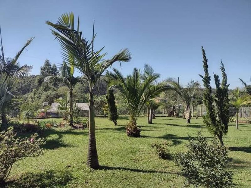 Sítio com 2 quartos, 2 banheiros e 120m² à venda no bairro Fazenda Fialho, Taquara