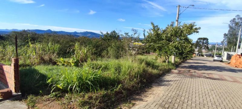 Terreno - Bello Monte