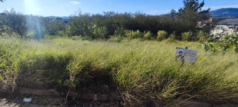 Terreno - Bello Monte
