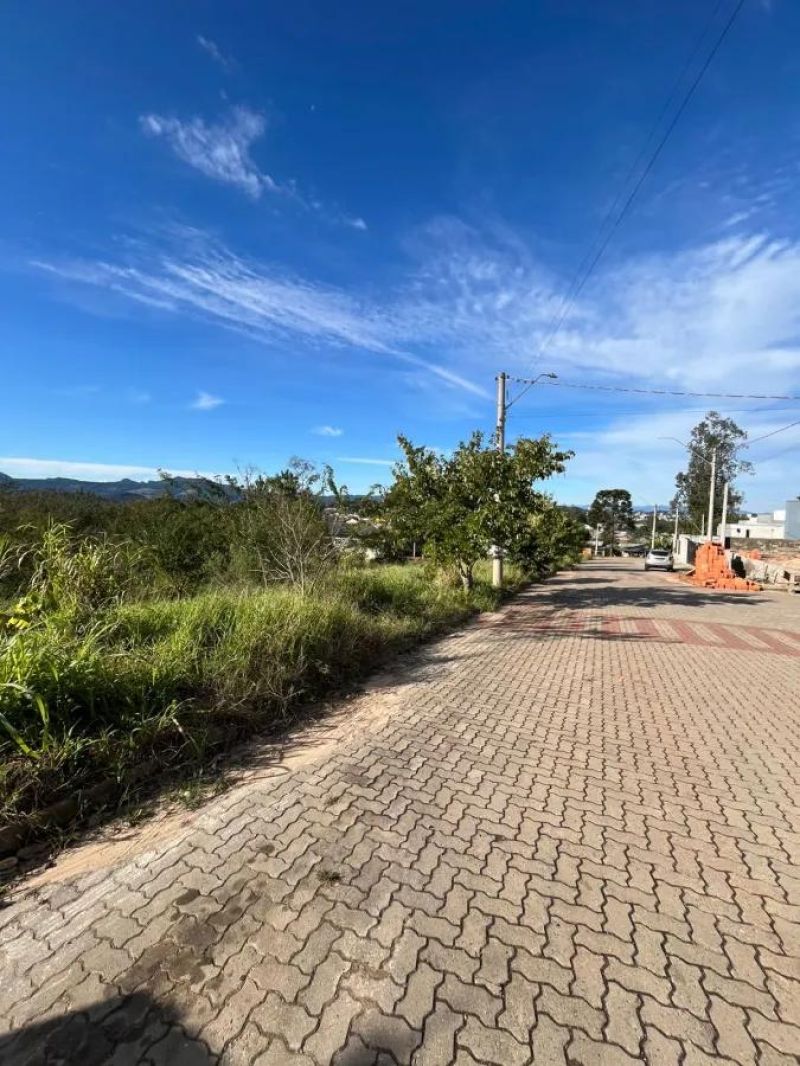 Terreno - Bello Monte