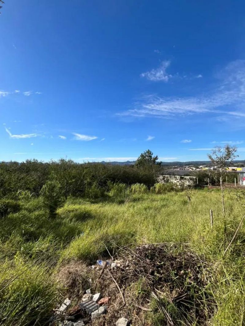 Terreno - Bello Monte