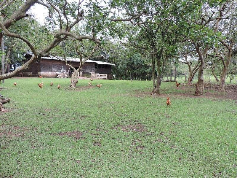 Sítio com 4 quartos e 2 banheiros à venda no bairro Fazenda Fialho, Taquara