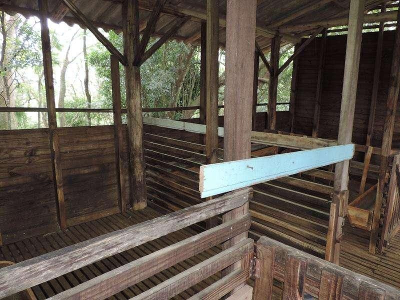 Sítio com 4 quartos e 2 banheiros à venda no bairro Fazenda Fialho, Taquara