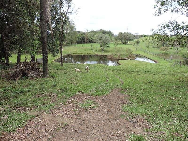 Sítio com 4 quartos e 2 banheiros à venda no bairro Fazenda Fialho, Taquara