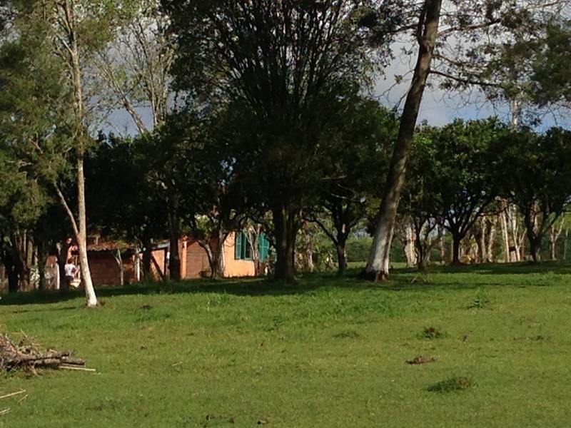 Sítio com 2 quartos e 2 banheiros à venda no bairro Fazenda Fialho, Taquara