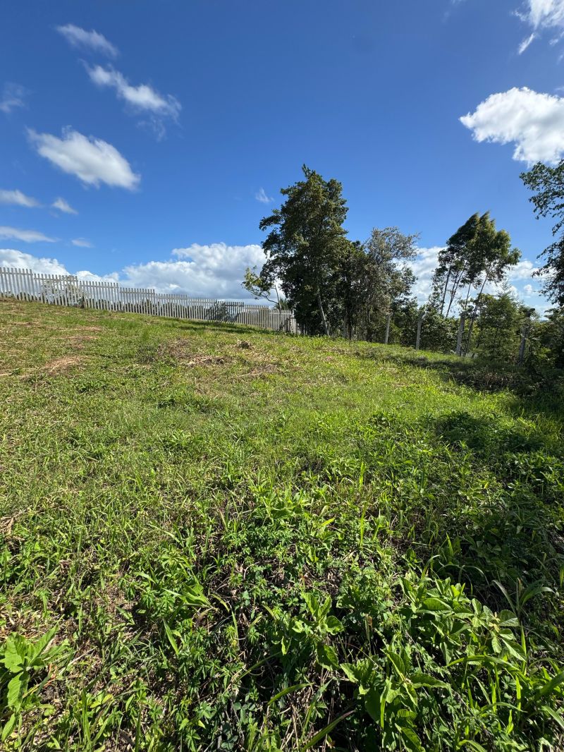 Terreno à venda no bairro Morro do Leoncio, Taquara