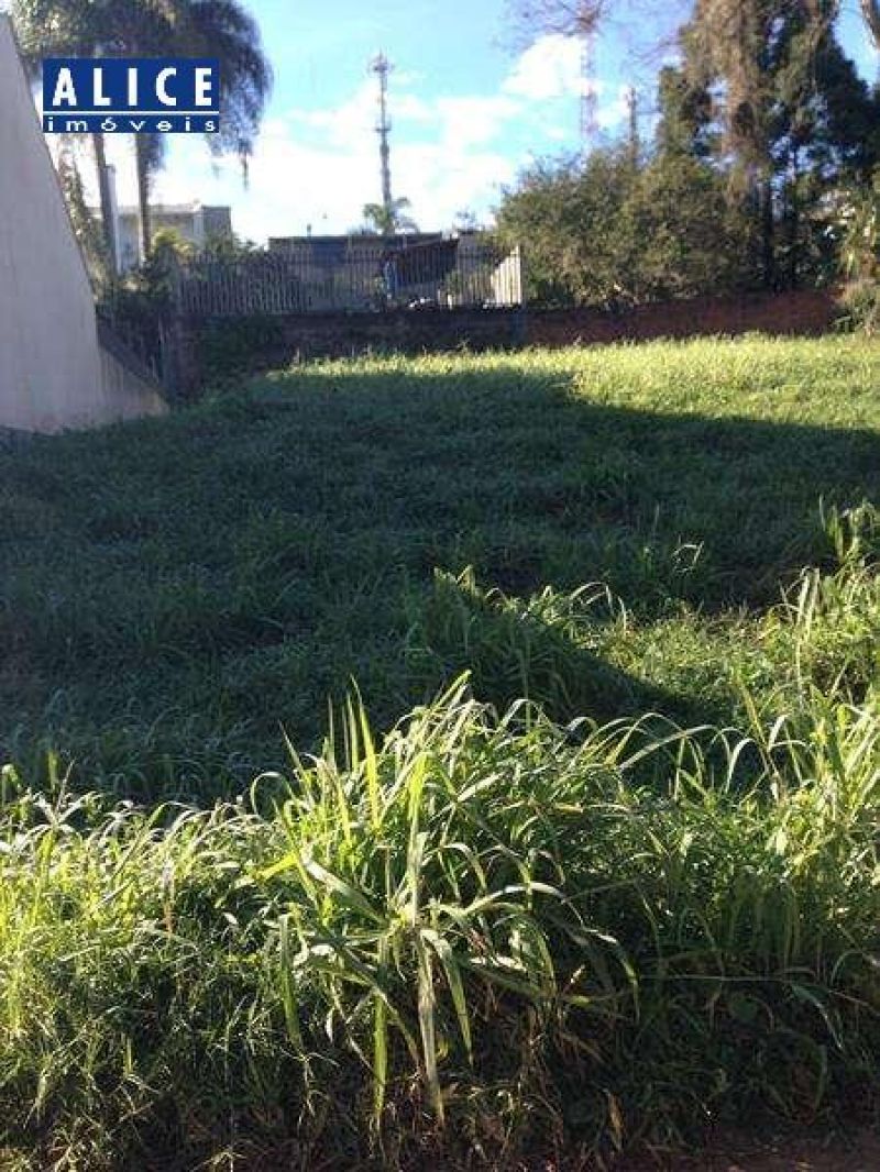 Terreno à venda no bairro Morro do Leoncio, Taquara