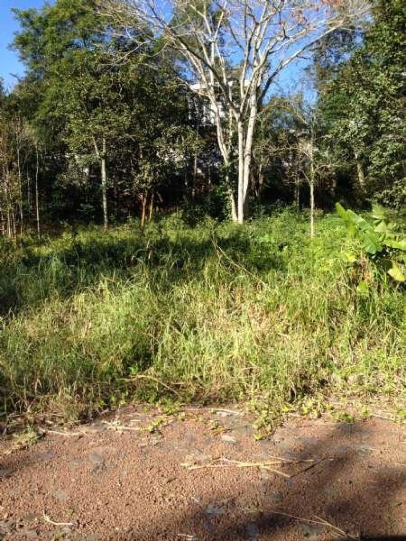 Terreno à venda no bairro Morro do Leoncio, Taquara