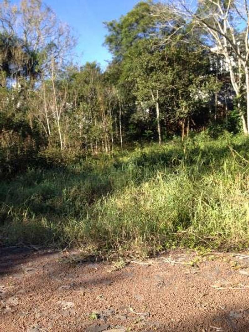 Terreno à venda no bairro Morro do Leoncio, Taquara