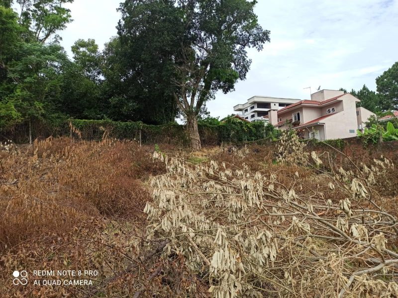 Terreno à venda no bairro Morro do Leoncio, Taquara
