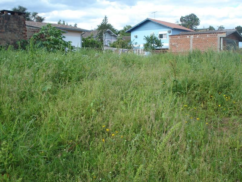 Terreno à venda no bairro Cruzeiro do Sul, Taquara