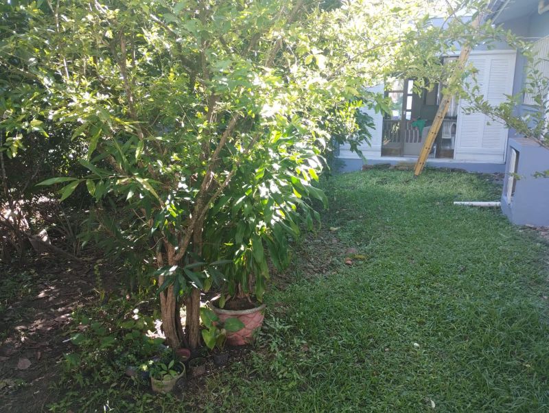 Casa com 3 quartos e 2 banheiros à venda no bairro Recreio, Taquara
