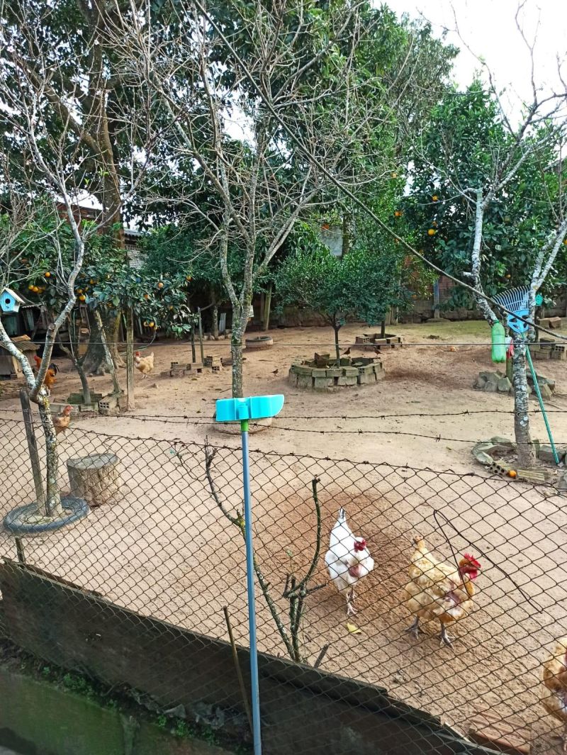 Casa com 4 quartos, 2 banheiros e 180m² à venda no bairro Mundo Novo, Taquara