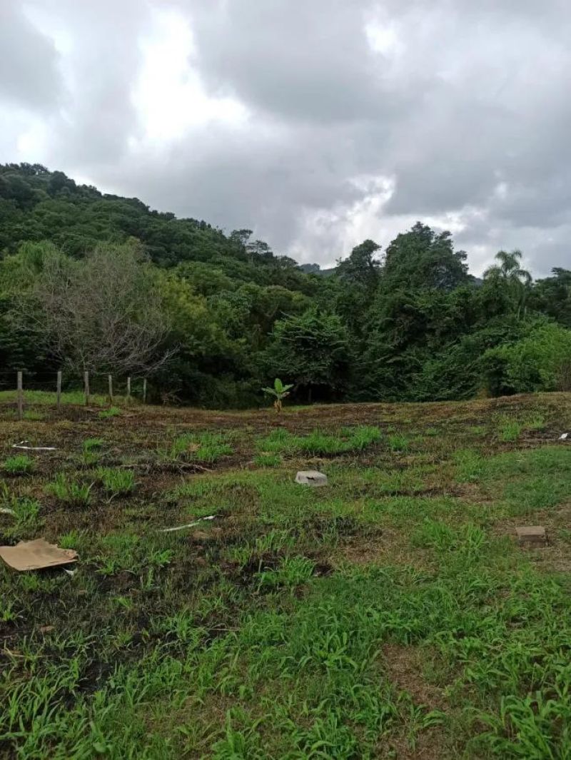 Sítio localizado na Estrada do Pinhal - Parobé, RS