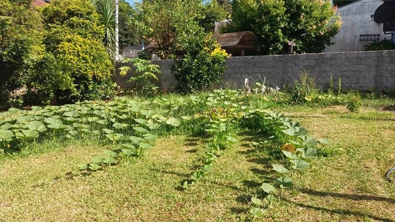Casa com 2 quartos, 1 banheiro e 70m² à venda no bairro Mundo Novo, Taquara
