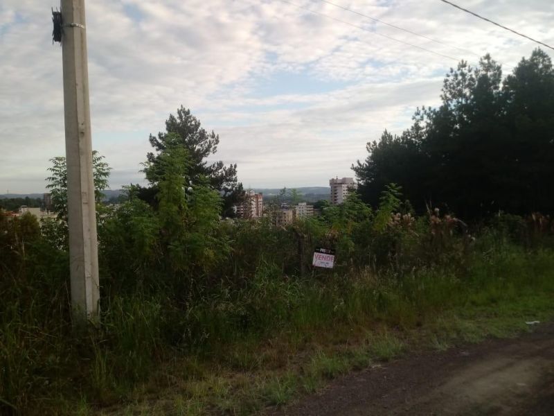 Terreno à venda no bairro Sagrada Familia, Taquara