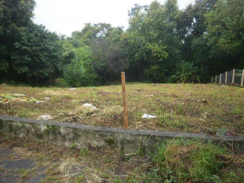 Terreno à venda no bairro Sagrada Familia, Taquara