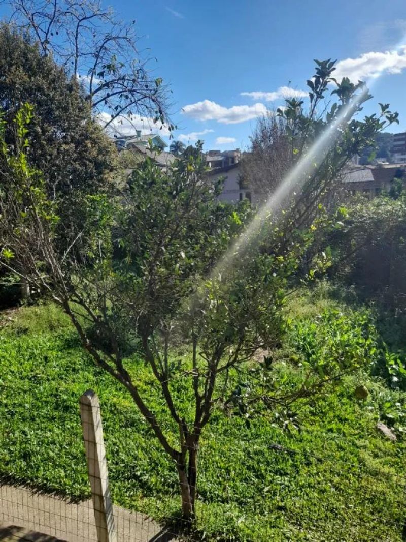 Casa - Jacob Willres, Centro