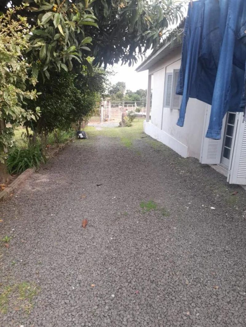 Casa - Arno Saft, Guarani