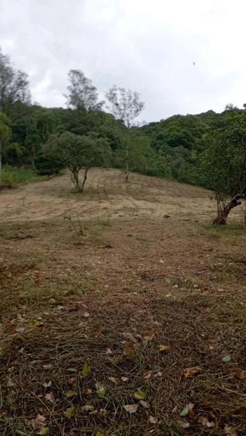 Sítio à venda no bairro Santa Rosa, Taquara