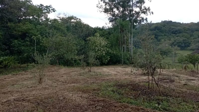 Sítio à venda no bairro Santa Rosa, Taquara