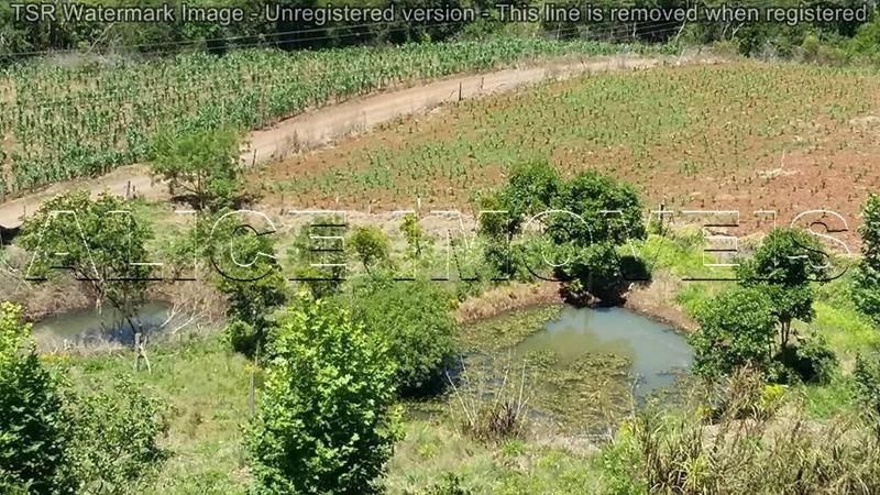 Terreno à venda no bairro Santa Rosa, Taquara