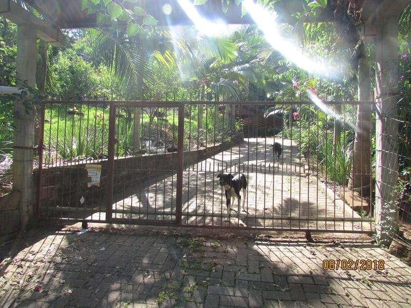 Casa com 2 quartos, 1 banheiro e 100m² à venda no bairro Santa Rosa, Taquara