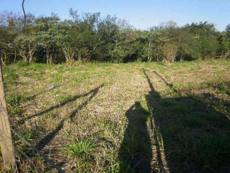 Terreno à venda no bairro Santa Rosa, Taquara