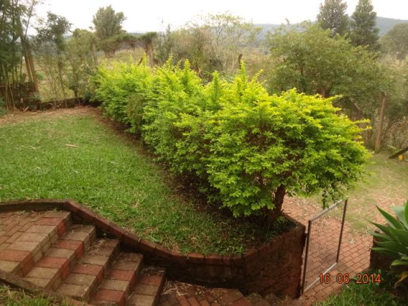 Casa com 3 quartos e 308m² à venda no bairro Santa Rosa, Taquara