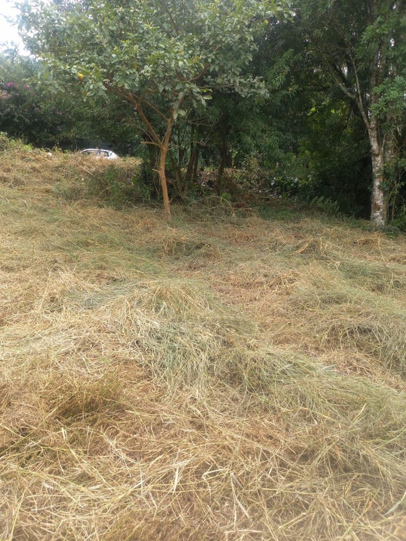 Terreno à venda no bairro Petropolis, Taquara